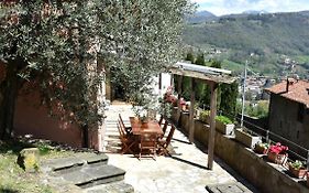 Il Giardino Di Berbech Citta Alta - Castagno